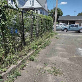 Cleanups by Emerald Green Property Management LLC reviewed on June 20, 2022