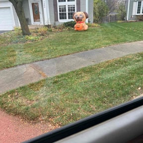 Leaf Removal by Lawn and Labor Services reviewed on June 12, 2022