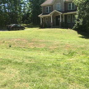 Bush Trimming by Asap Lawns reviewed on June 13, 2022