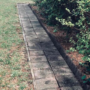 Cleanups by Mow-Mentous Lawn Service reviewed on July 9, 2025