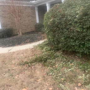 Bush Trimming by My Family Lawn Care reviewed on June 23, 2022