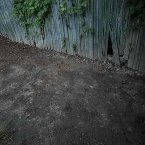 Cleanups by Z&L lawns reviewed on August 4, 2022