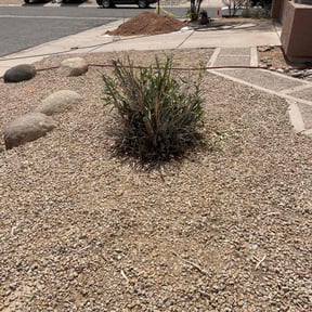 Bush Trimming by C J &#039;s. Lawn Care reviewed on July 18, 2025