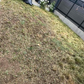 Cleanups by Perry’s Landscaping LLC reviewed on July 30, 2022