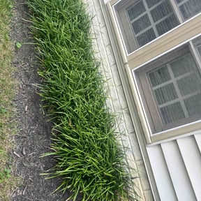 Flower Bed Weeding by GTS Lawn Company reviewed on August 11, 2025