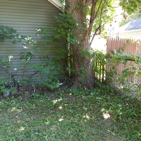 Bush Trimming by RhodenColes Investments reviewed on May 27, 2022