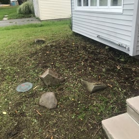 Weed Pulling by Tilcco reviewed on June 20, 2022