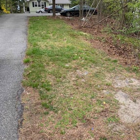 Cleanups by B&t lawn servicee reviewed on June 7, 2022