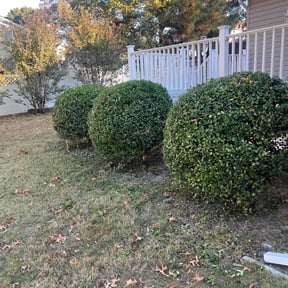 Bush Trimming by T.L. Landscaping & hardscaping reviewed on June 10, 2022