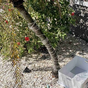 Leaf Removal by Hettie Mae Residential Services llc reviewed on July 3, 2022