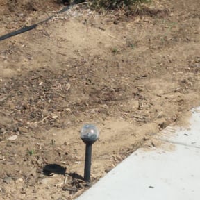 Flower Bed Weeding by Mayo&#039;s Lawn Care &amp; Landscaping Service reviewed on July 28, 2025