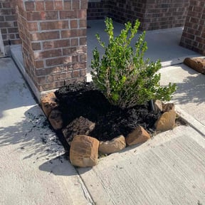 Mulching by Shady Acres reviewed on May 8, 2022