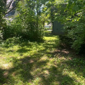 Cleanups by LSLTDallas/FortWorthTruGreen reviewed on June 11, 2025