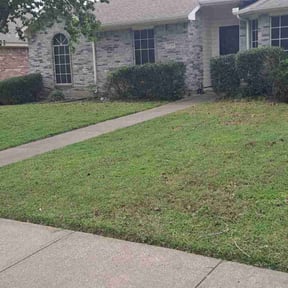 Bush Trimming by Blue Lagoon Lawn Service reviewed on December 20, 2021