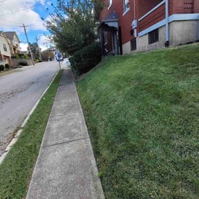 Bush Trimming by H&B lawn care reviewed on December 24, 2021