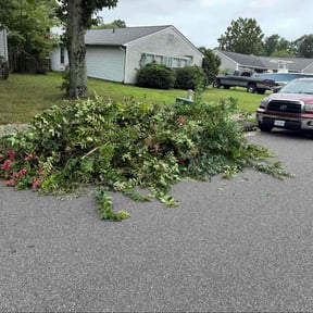 Cleanups by Texas Landscape reviewed on July 15, 2022
