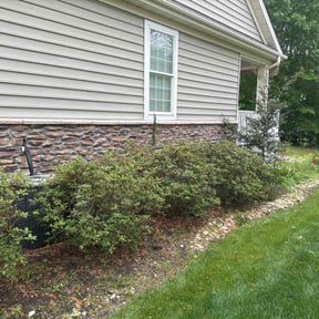Bush Trimming by Family Gang Lawn reviewed on May 18, 2022