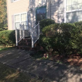 Bush Trimming by Js Lawn Care reviewed on December 3, 2024