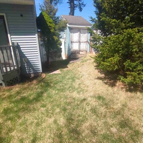 Leaf Removal by Robert Bowe reviewed on July 12, 2022