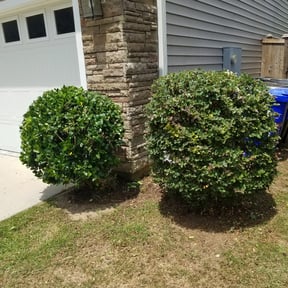 Bush Trimming by Hanahan Lawn Care LLC reviewed on May 17, 2025