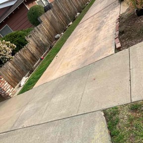 Bush Trimming by D&A Landscaping reviewed on June 18, 2020