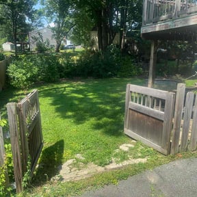Bush Trimming by C&R Services reviewed on July 22, 2022