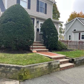 Leaf Removal by Adams Paiz reviewed on April 29, 2022