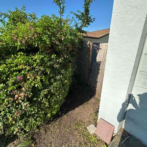 Bush Trimming by Landmark Lawns reviewed on June 25, 2025