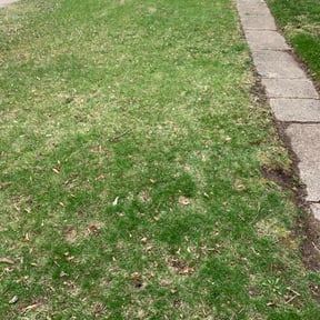 Cleanups by Finns landscaping reviewed on November 18, 2024