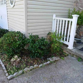 Bush Trimming by Jeremy's Lawn Service reviewed on October 26, 2021