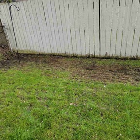 Leaf Removal by Green Earth Lawn and snow LLC reviewed on May 11, 2025