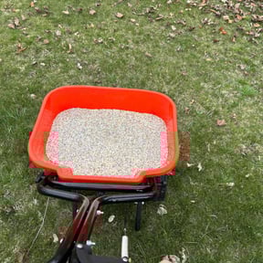Mulching by Muscles 4 hire labor reviewed on June 29, 2022