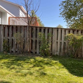 Bush Trimming by Cleancut Landscaping reviewed on April 27, 2025