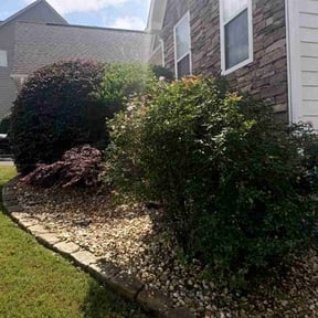 Bush Trimming by Enrique&#039;s Outdoor Maintenance reviewed on July 14, 2022