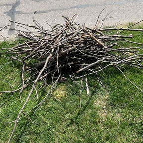 Cleanups by DMB grounds LLC reviewed on November 21, 2022