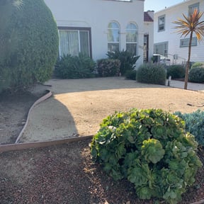 Bush Trimming by Tim's Discount Lawn reviewed on May 7, 2022