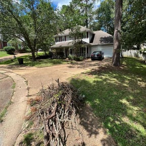 Landscaping by Carlos Lawn reviewed on October 16, 2024