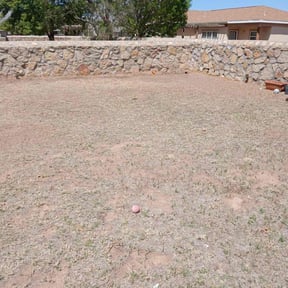Cleanups by LSLTDallas/FortWorthTruGreen reviewed on September 13, 2024