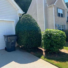Bush Trimming by Greene Enterprise reviewed on February 28, 2025