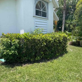 Bush Trimming by Diesel Dog Lawn Care LLC reviewed on September 8, 2020