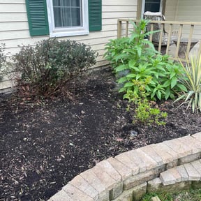 Flower Bed Weeding by B&B reviewed on July 23, 2022