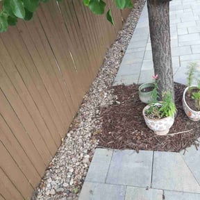 Flower Bed Weeding by LSLTDallas/FortWorthTruGreen reviewed on May 12, 2024