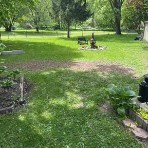 Leaf Removal by A&L Lawncare reviewed on July 26, 2022
