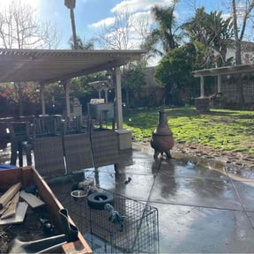 Cleanups by Bert's Landscaping and Propery Mantienance reviewed on March 7, 2022