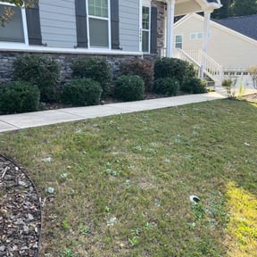 Bush Trimming by B&amp;t lawn servicee reviewed on July 12, 2022