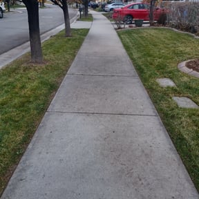 Leaf Removal by A&mlawnservice reviewed on May 12, 2022