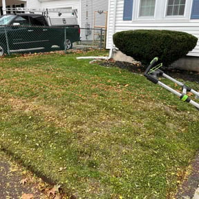 Bush Trimming by (PFGS) PO FOLKZ GARDEN Services reviewed on July 25, 2022