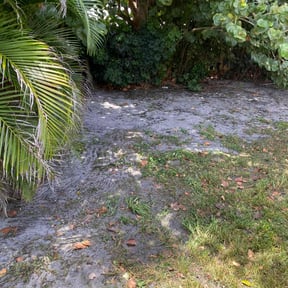 Leaf Removal by Richard Buricca reviewed on October 10, 2022