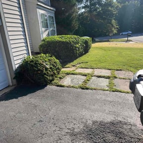Bush Trimming by D & L Property Management reviewed on May 9, 2022