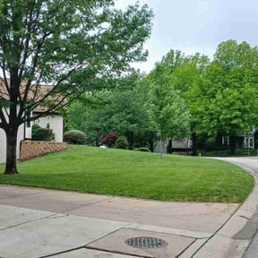 Landscaping by Mow Time Lawn Service LLC reviewed on July 21, 2022